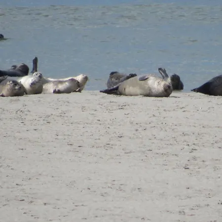 Le Clos De Beauchamp Le Grenier De Beauchamp 3 Vélos Sont Disponibles Gratuitement * Saint-Valery-sur-Somme