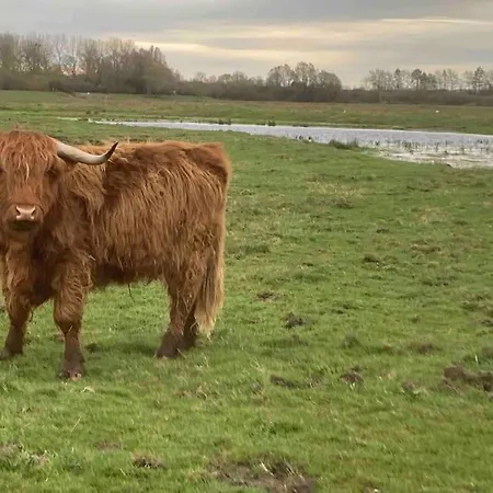 Le Clos De Beauchamp Le Grenier De Beauchamp 3 Vélos Sont Disponibles Gratuitement * Saint-Valery-sur-Somme