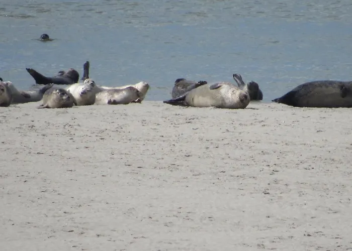 Le Clos De Beauchamp Le Grenier De Beauchamp 3 Velos Sont Disponibles Gratuitement * Saint-Valéry-sur-Somme