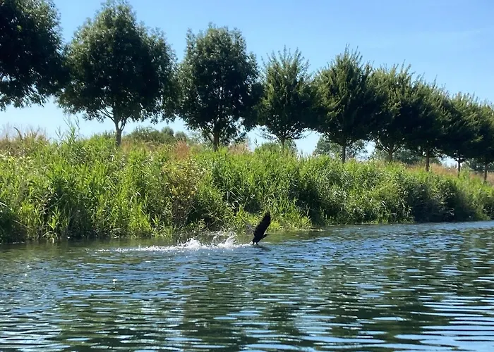 Appartement Le Clos De Beauchamp Le Grenier De Beauchamp 3 Velos Sont Disponibles Gratuitement *