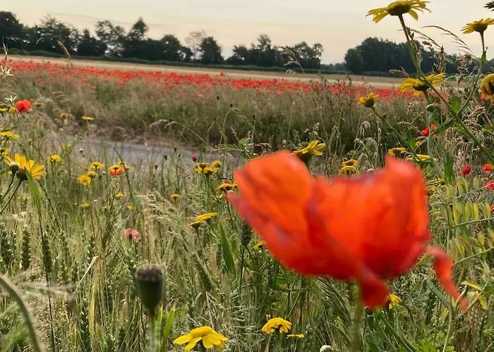 Appartement Le Clos De Beauchamp Le Grenier De Beauchamp 3 Velos Sont Disponibles Gratuitement Saint-Valéry-sur-Somme