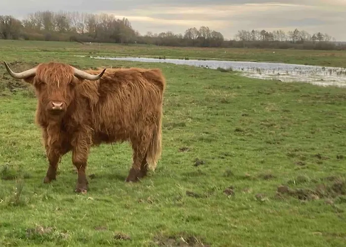 Le Clos De Beauchamp Le Grenier De Beauchamp 3 Velos Sont Disponibles Gratuitement * Saint-Valéry-sur-Somme