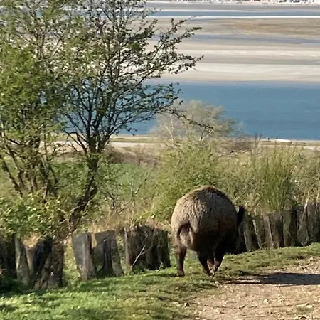 Le Clos De Beauchamp Le Grenier De Beauchamp 3 Vélos Sont Disponibles Gratuitement Appartamento *