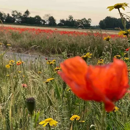 Appartamento Le Clos De Beauchamp Le Grenier De Beauchamp 3 Vélos Sont Disponibles Gratuitement Saint-Valéry-sur-Somme