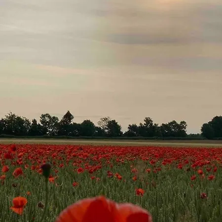Le Clos De Beauchamp Le Grenier De Beauchamp 3 Vélos Sont Disponibles Gratuitement Appartamento